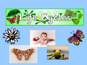 2. Mitosis - the process by which most cells divide  https://www.youtube.com/watch?v=ZO2qZF1WB3Y