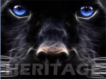 THE Heritage  Graduating Class of 2023!  Key Points  Start and dismissal time:  8:00am -2:45pm