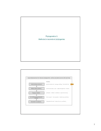 1  Molecular characters  Nucleotide sequences  structural genes (protein, RNA, regulatory)