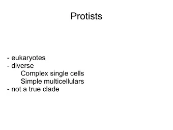 Protists  - eukaryotes  - diverse  Complex single cells  Simple multicellulars  - not a true clade
