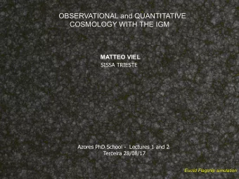 OBSERVATIONAL and QUANTITATIVE  COSMOLOGY WITH THE IGM MATTEO VIEL  SISSA TRIESTE  Azores PhD