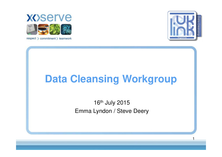 data cleansing workgroup