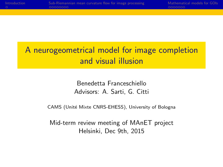 a neurogeometrical model for image completion and visual