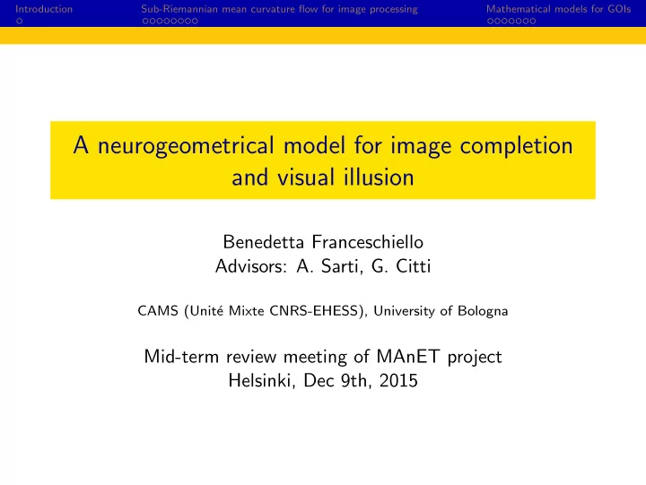 a neurogeometrical model for image completion and visual