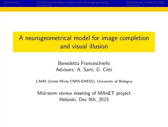 A neurogeometrical model for image completion  and visual illusion  Benedetta Franceschiello
