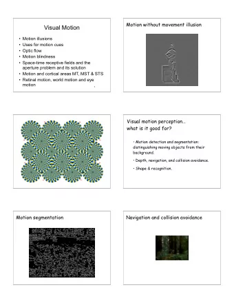 Visual Motion   Motion illusions   Uses for motion cues   Optic flow   Motion blindness