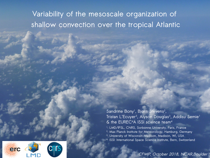 variability of the mesoscale organization of shallow