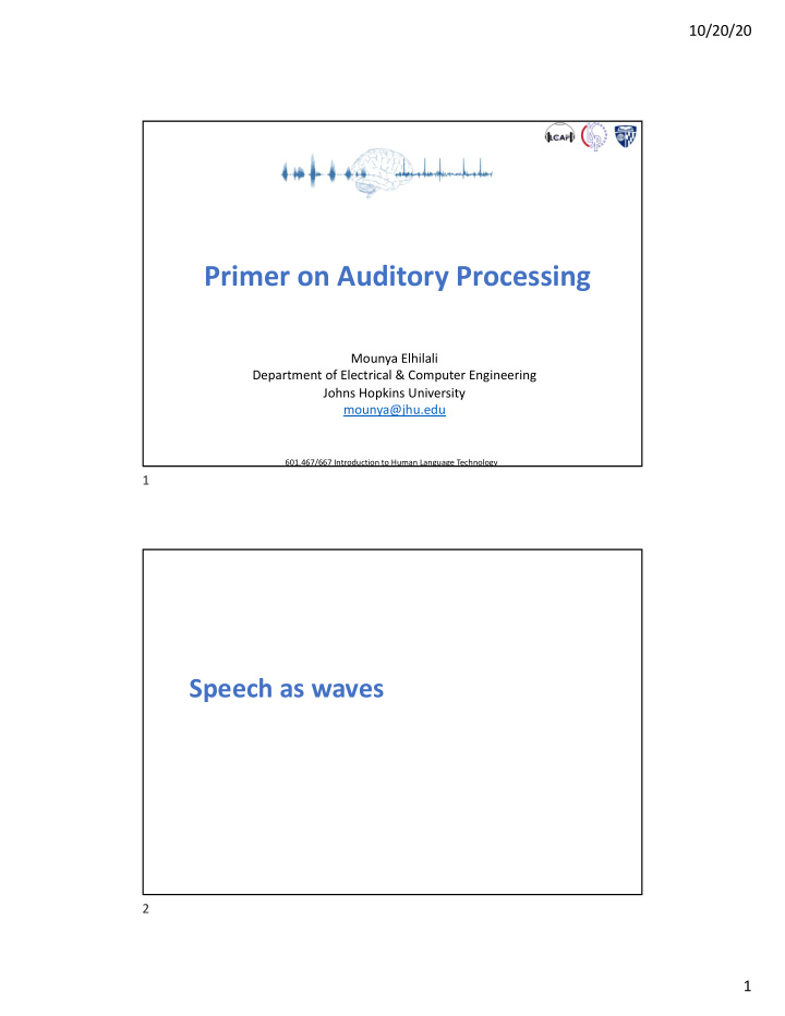 primer on auditory processing