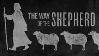John 10: 11-16  11 I am the good shepherd: the good shepherd giveth his life for the sheep.  12 But