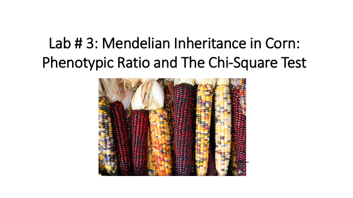 phenotypic ic ratio io and the chi square test