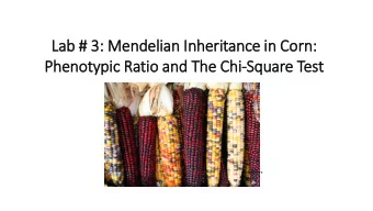 Phenotypic  ic Ratio  io and The Chi-Square Test  en.wikipedia.org  In Previous Labs..  1. The