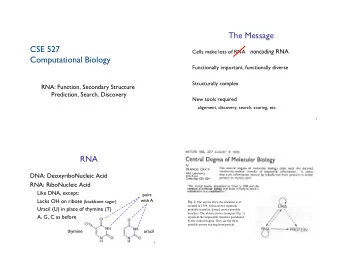 The Message &quot; CSE 527 ! noncoding RNA &quot; Cells make lots of RNA &quot; Computational