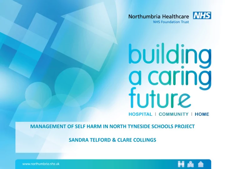 management of self harm in north tyneside schools project