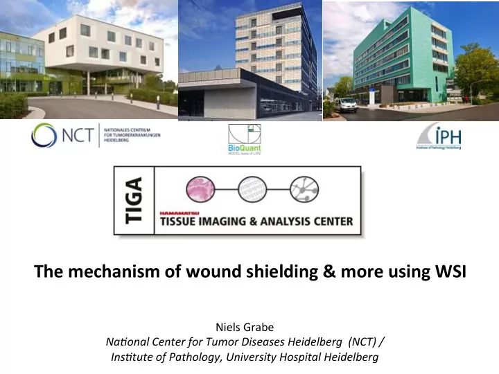 the mechanism of wound shielding more using wsi