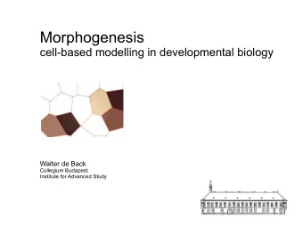 Morphogenesis  cell-based modelling in developmental biology  Walter de Back  Collegium Budapest