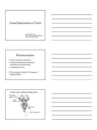 Central Representation of Touch  John H. Martin, Ph.D.  Center for Neurobiology &amp; Behavior