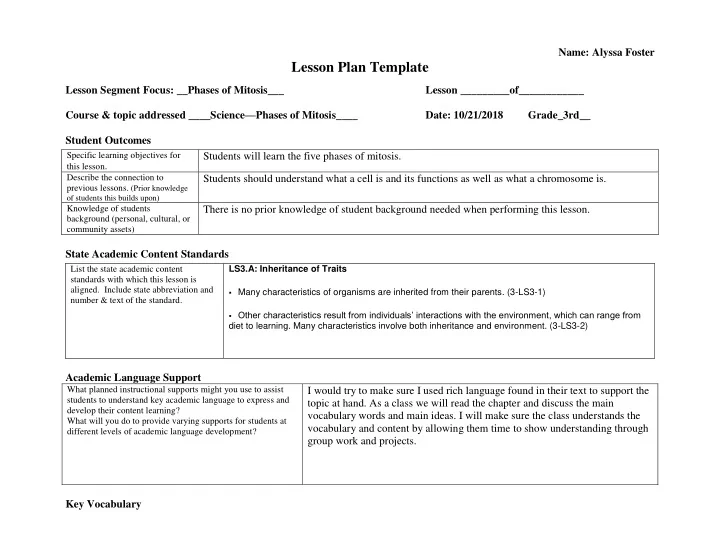 lesson plan template