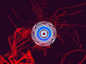 Emergence of collective modes, ecological  collapse and directed percolation at the