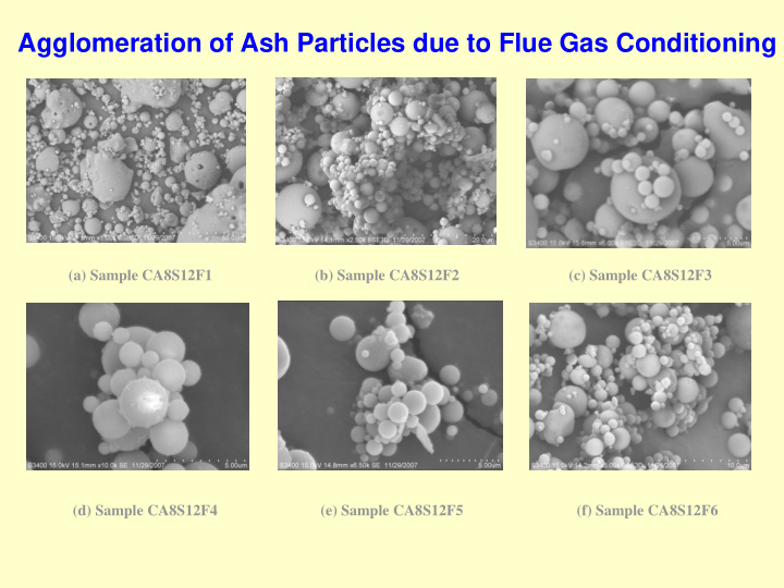 agglomeration of ash particles due to flue gas