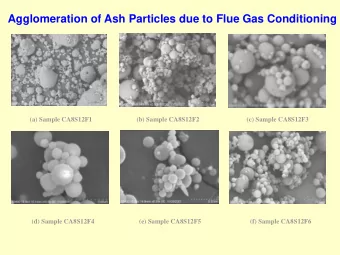 Agglomeration of Ash Particles due to Flue Gas Conditioning  (a) Sample CA8S12F1  (b) Sample