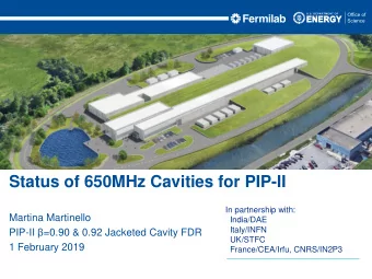 Status of 650MHz Cavities for PIP-II  In partnership with:  Martina Martinello  India/DAE