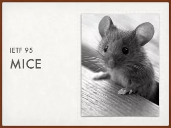 MICE SRI PERFORMANCE IS BAD  INTEGRITY OVER ALL  Recap  Reference resource, include a hash of that