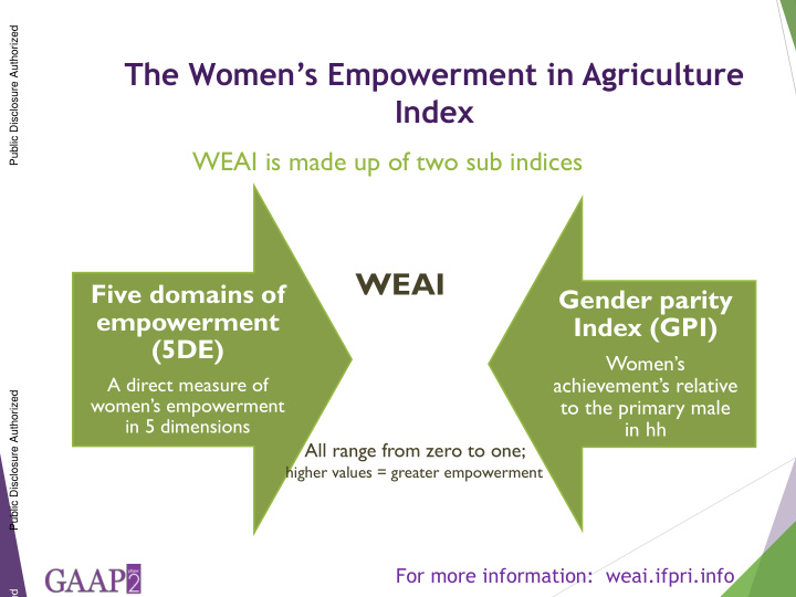 the women s empowerment in agriculture index