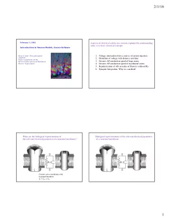 2/1/16  February  1,  20  16  Aspects of electrical activity in a neuron explained by