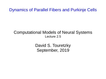Dynamics of Parallel Fibers and Purkinje Cells  Computational Models of Neural Systems  Lecture 2.5