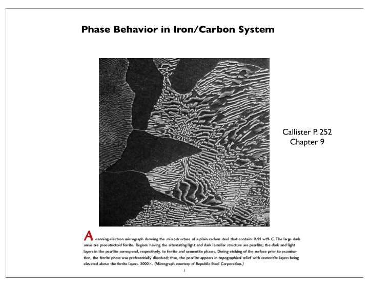 phase behavior in iron carbon system