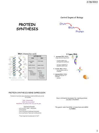 PROTEIN  SYNTHESIS RNA (ribonucleic acid)  3 types RNA  DIFFERENCES 1.  messenger RNA (mRNA)