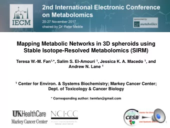 Mapping Metabolic Networks in 3D spheroids using  Stable Isotope-Resolved Metabolomics (SIRM)