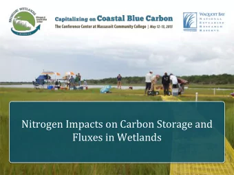 Nitrogen Impacts on Carbon Storage and  Fluxes in Wetlands  Anthropogenic Nitrogen Enrichment in