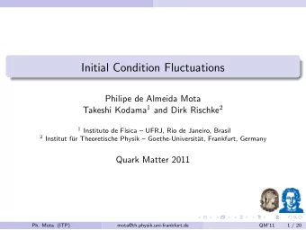 Initial Condition Fluctuations  Philipe de Almeida Mota Takeshi Kodama 1 and Dirk Rischke 2 1