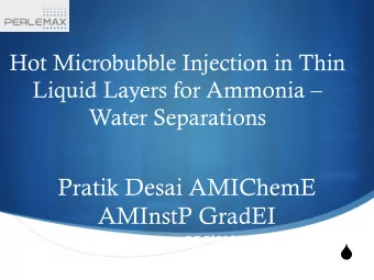 Pratik Desai AMIChemE  AMInstP GradEI  Professor William B  S  Zimmerman BSc PhD  Problem