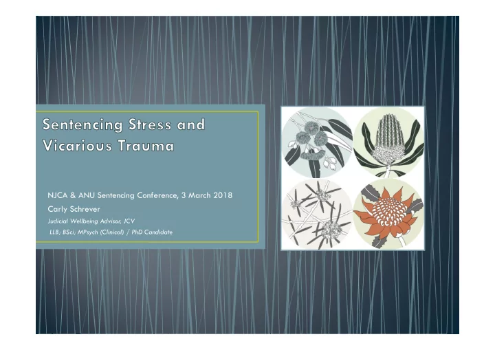 njca anu sentencing conference 3 march 2018 carly schrever