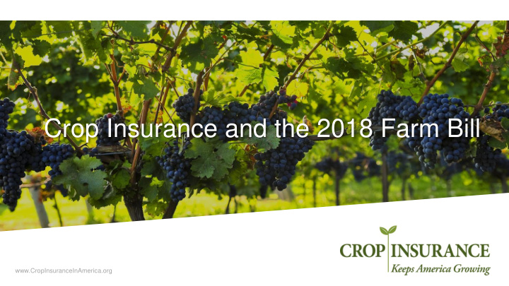 crop insurance and the 2018 farm bill