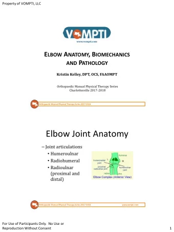 Elbow Joint Anatomy  Joint articulations  Humeroulnar  Radiohumeral  Radioulnar