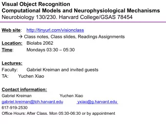 Visual Object Recognition  Computational Models and Neurophysiological Mechanisms  Neurobiology