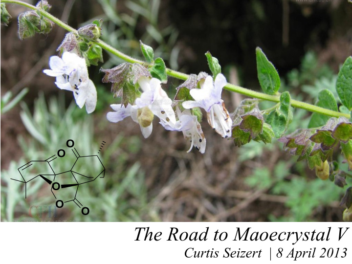 the road to maoecrystal v