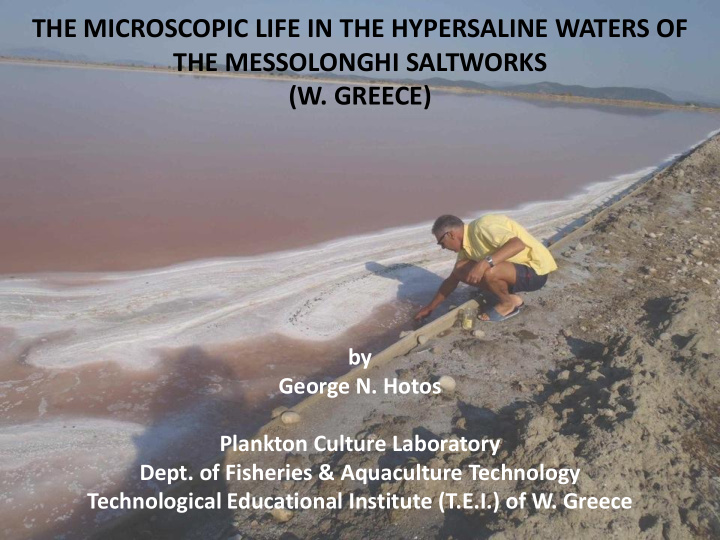 the microscopic life in the hypersaline waters of
