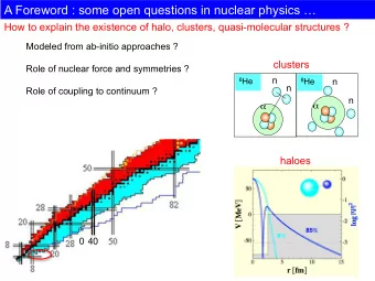 Study of the spin orbit force using a bubble nucleus O. Sorlin (GANIL, presently at CERN)  THE