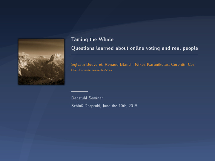 taming the whale questions learned about online voting