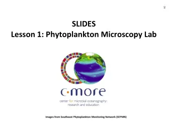SLIDES Lesson 1: Phytoplankton Microscopy Lab 25 25 26 26 27 27 28 28 29 29 30 30 31 SLIDES Lesson