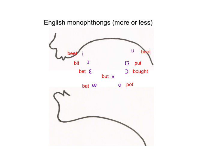 english monophthongs more or less
