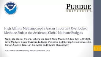 High Affinity Methanotrophs Are an Important Overlooked  Methane Sink in the Arctic and Global