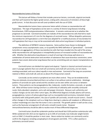 Neuroendocrine tumors of the lung  This lecture will follow a format that includes precursor