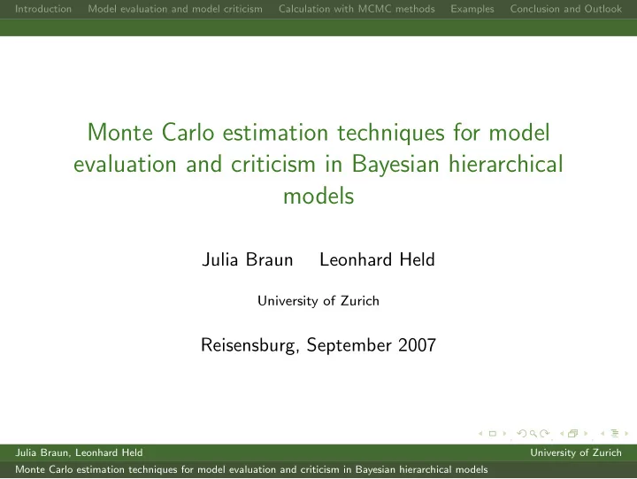 monte carlo estimation techniques for model evaluation
