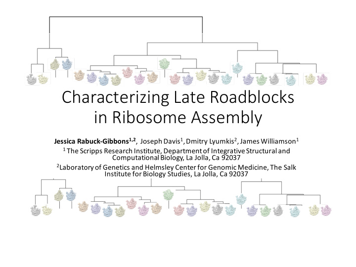 characterizing late roadblocks in ribosome assembly