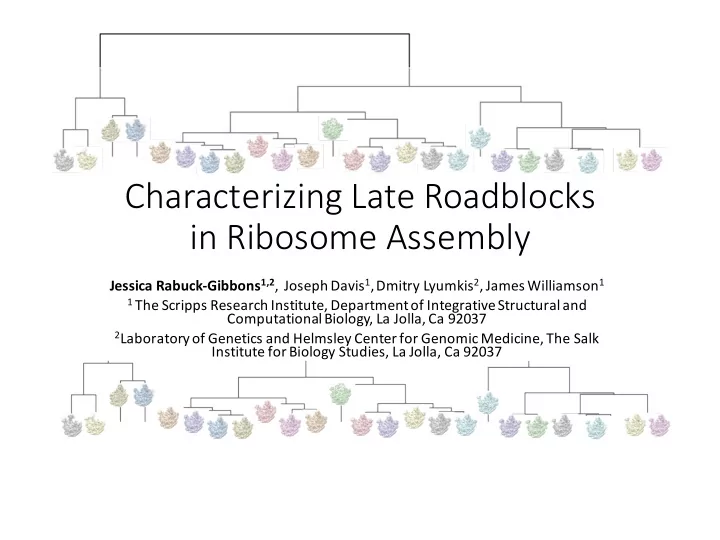 characterizing late roadblocks in ribosome assembly
